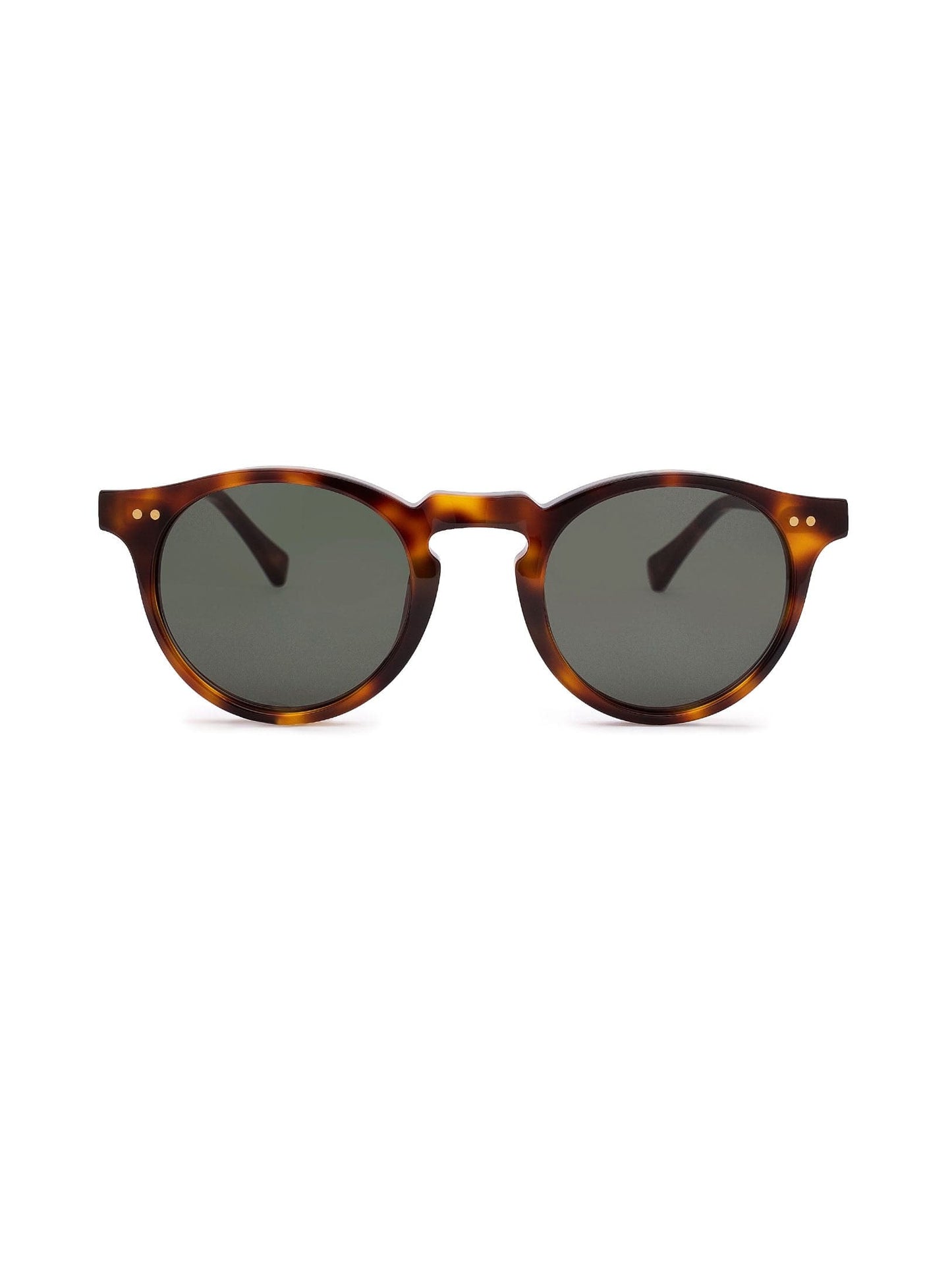 Malibu Sunglasses - Green on Tortoise